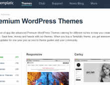 WordPress Themes Club